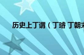 历史上丁谓（丁璿 丁朝末代皇帝相关内容简介介绍）