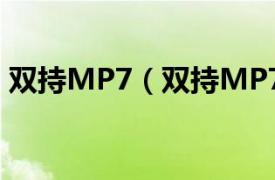 双持MP7（双持MP7A1相关内容简介介绍）