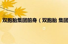 双胞胎集团前身（双胞胎 集团股份有限公司相关内容简介介绍）