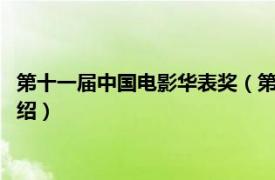 第十一届中国电影华表奖（第9届中国电影华表奖相关内容简介介绍）