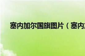 塞内加尔国旗图片（塞内加尔国徽相关内容简介介绍）