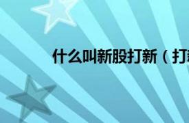 什么叫新股打新（打新股相关内容简介介绍）