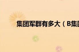 集团军群有多大（B集团军群相关内容简介介绍）