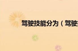 驾驶技能分为（驾驶技能相关内容简介介绍）