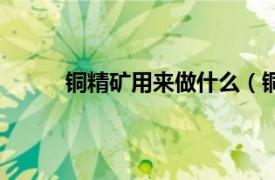 铜精矿用来做什么（铜精矿相关内容简介介绍）