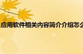 应用软件相关内容简介介绍怎么写（应用软件相关内容简介介绍）