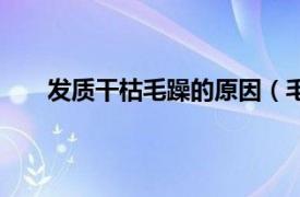 发质干枯毛躁的原因（毛发干枯相关内容简介介绍）