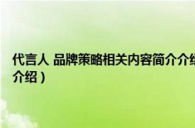 代言人 品牌策略相关内容简介介绍怎么写（代言人 品牌策略相关内容简介介绍）