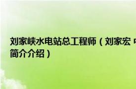 刘家峡水电站总工程师（刘家宏 中国水利水电科学研究院工程师相关内容简介介绍）