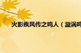 火影疾风传之鸣人（漩涡鸣人疾风传 相关内容简介介绍）