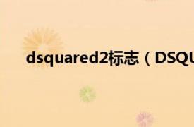 dsquared2标志（DSQUARED2相关内容简介介绍）