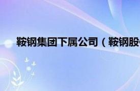 鞍钢集团下属公司（鞍钢股份有限公司相关内容简介介绍）