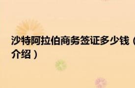 沙特阿拉伯商务签证多少钱（沙特阿拉伯商务签证相关内容简介介绍）