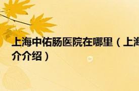 上海中佑肠医院在哪里（上海中佑肛肠医院有限公司相关内容简介介绍）