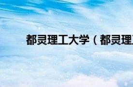 都灵理工大学（都灵理工学院相关内容简介介绍）