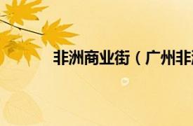 非洲商业街（广州非洲街相关内容简介介绍）