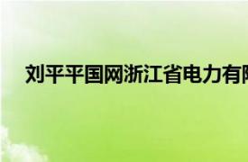 刘平平国网浙江省电力有限公司湖州供电公司员工简介