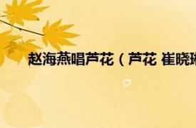 赵海燕唱芦花（芦花 崔晓琳演唱歌曲相关内容简介介绍）