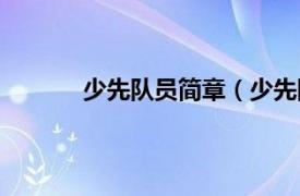 少先队员简章（少先队员相关内容简介介绍）