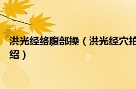 洪光经络腹部操（洪光经穴拍打操随身带 中级篇相关内容简介介绍）