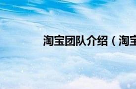 淘宝团队介绍（淘宝团相关内容简介介绍）