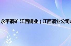 永平铜矿 江西铜业（江西铜业公司永平铜矿科学技术志相关内容简介介绍）