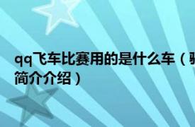 qq飞车比赛用的是什么车（骑士 《QQ飞车》中的赛车相关内容简介介绍）