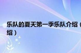 乐队的夏天第一季乐队介绍（乐队的夏天第一季相关内容简介介绍）