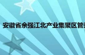 安徽省余强江北产业集聚区管委会产业发展部部长相关内容简介