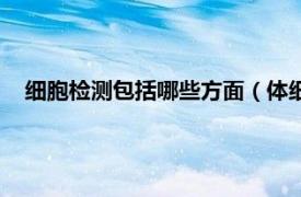 细胞检测包括哪些方面（体细胞检测技术相关内容简介介绍）