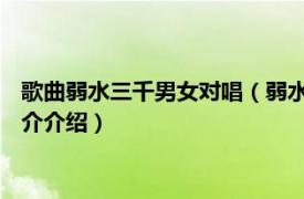 歌曲弱水三千男女对唱（弱水三千 雨中百合演唱歌曲相关内容简介介绍）