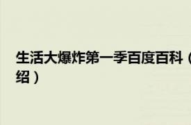 生活大爆炸第一季百度百科（生活大爆炸第一季相关内容简介介绍）