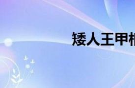 矮人王甲相关内容简介