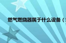 燃气燃烧器属于什么设备（燃气燃烧器相关内容简介介绍）