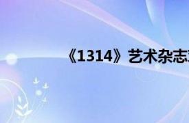 《1314》艺术杂志对话栏目相关内容介绍