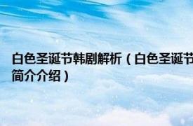 白色圣诞节韩剧解析（白色圣诞节 韩国2011年金容秀导演电视剧相关内容简介介绍）