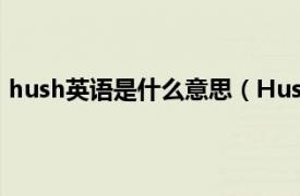 hush英语是什么意思（Hush 英语单词相关内容简介介绍）