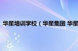 华星培训学校（华星集团 华星教育培训集团相关内容简介介绍）