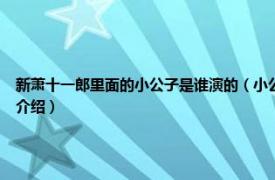 新萧十一郎里面的小公子是谁演的（小公子 电视剧《新萧十一郎》中角色相关内容简介介绍）