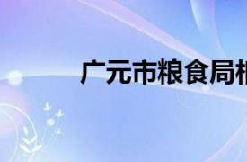 广元市粮食局相关内容简介介绍