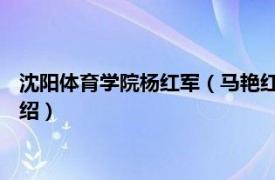 沈阳体育学院杨红军（马艳红 沈阳体育学院主任相关内容简介介绍）