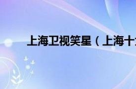 上海卫视笑星（上海十大笑星相关内容简介介绍）