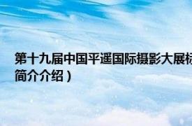 第十九届中国平遥国际摄影大展标志（第13届平遥国际摄影大展相关内容简介介绍）