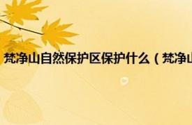 梵净山自然保护区保护什么（梵净山国家级自然保护区相关内容简介介绍）