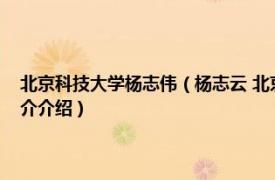 北京科技大学杨志伟（杨志云 北京科技大学公共管理系副教授相关内容简介介绍）