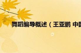 舞蹈编导概述（王亚鹏 中国舞蹈编导相关内容简介介绍）