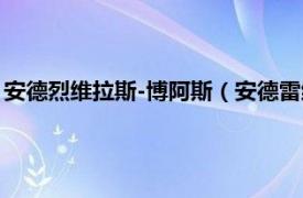 安德烈维拉斯-博阿斯（安德雷维拉斯-博阿斯相关内容简介介绍）