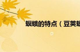 螟蛾的特点（豆荚螟蛾相关内容简介介绍）