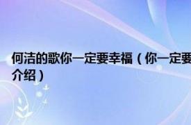 何洁的歌你一定要幸福（你一定要幸福 2006年何洁演唱歌曲相关内容简介介绍）