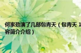 何家劲演了几部包青天（包青天 1993年金超群、何家劲主演电视剧相关内容简介介绍）